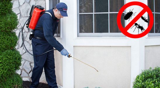 Osmaniye Dezenfeksiyon böcek ilaçlama ve haşere kontrolü — ilaclama-tr.com